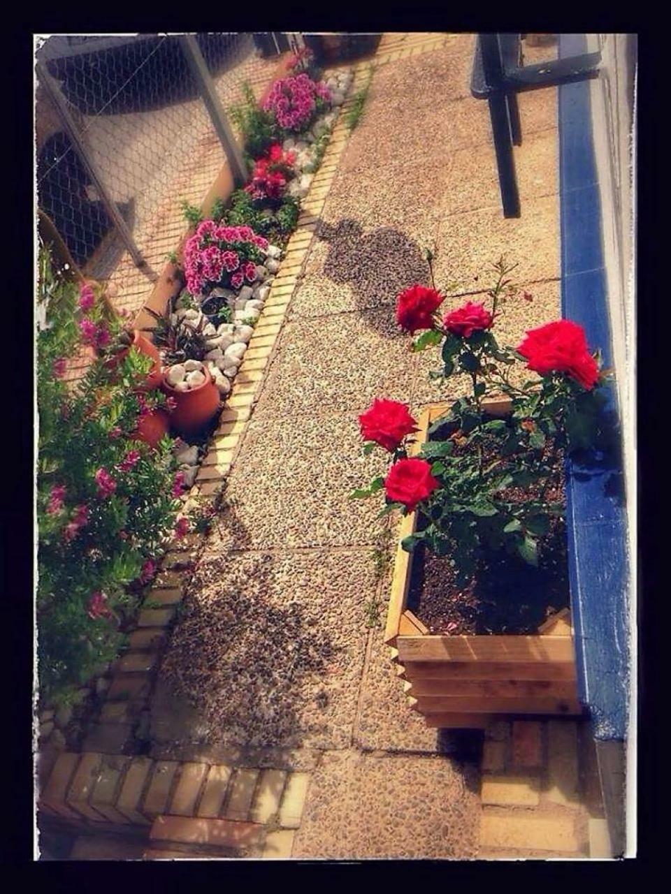 Hostal Puerto De Santa Maria Ел Пуерто де Санта Мария Екстериор снимка